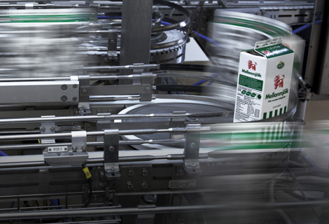 Håndtering af mælkekartoner under hele produktionsprocessen ved Arla Stockholm