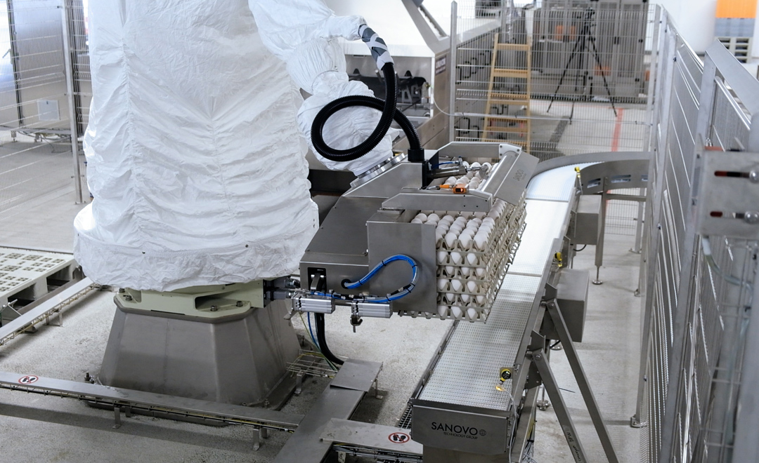 Case packing af æggebakker med Kawasaki