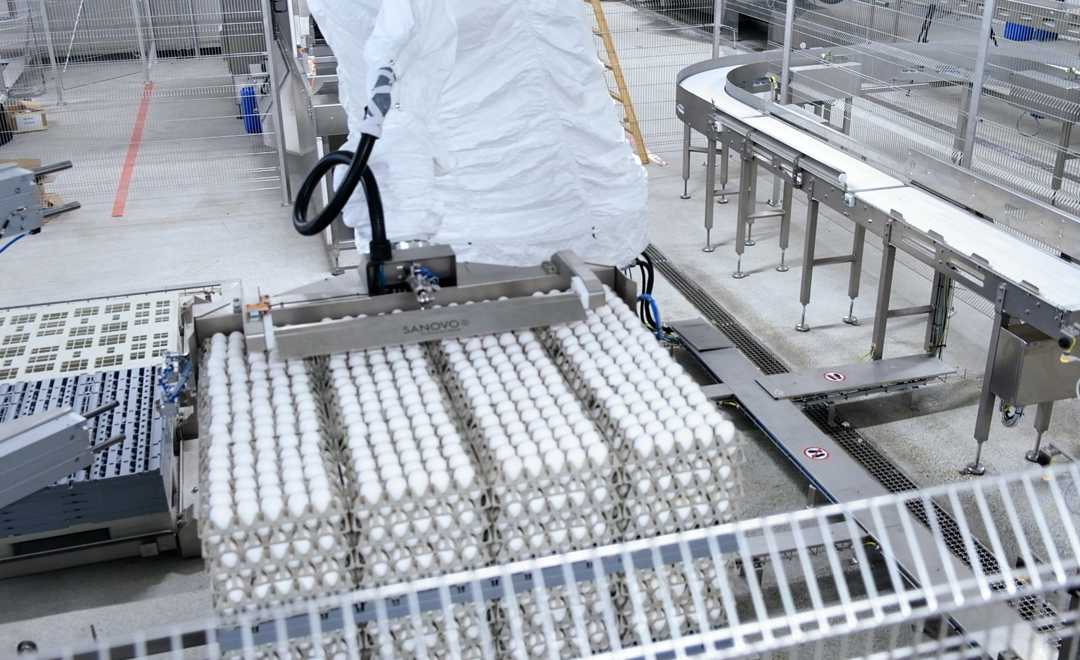 Palletering af æggebakker med Kawasaki