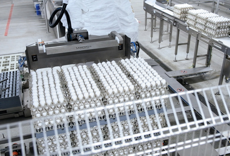 case packing med Kawaskirobotter